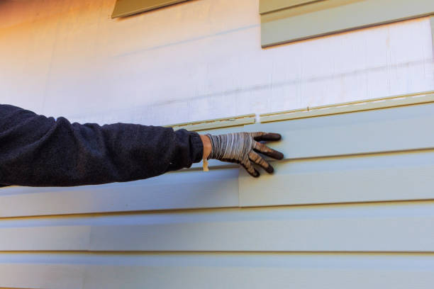 Best Custom Trim and Detailing for Siding  in Stony Point, NC